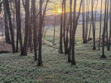 20260324_bleduliště1.jpg