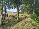 IMG-20260716-WA0011.jpg