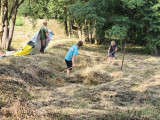 IMG-20260716-WA0017.jpg