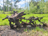 20260523_150031.jpg